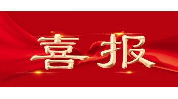 pg电子游戏股份项目获广西科技进取奖